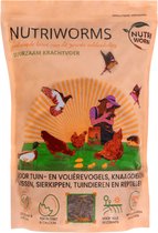 Insectensnack – Kippenvoer – Snack Kippen – Alternatief voor Meelwormen – Nutriworms – 1000 gram (7,14 Liter)