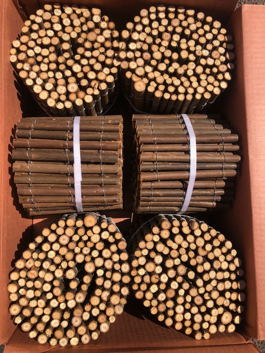 Borderrand Wilgentakken - 15 cm hoog - 200 cm breed , 6 Stuks