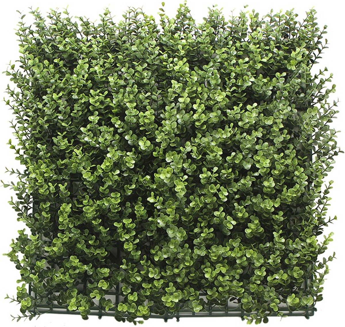 kunsthaag Buxus Lea - 100x100cm - Kunstklimop - Wandpaneel - Balkonscherm
