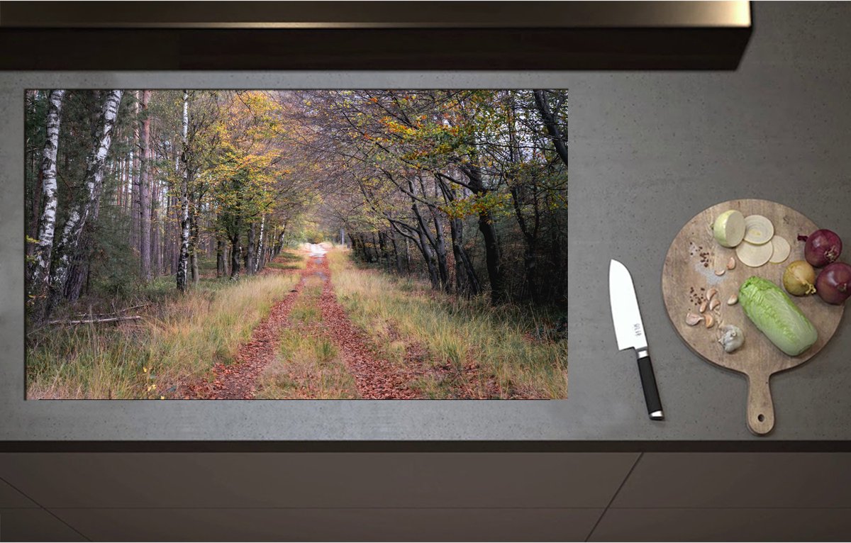Inductieplaat Beschermer - Bospad in een Bos in Nederland - 95x55 cm - 2 mm Dik - Inductie Beschermer - Bescherming Inductiekookplaat - Kookplaat Beschermer van Wit Vinyl