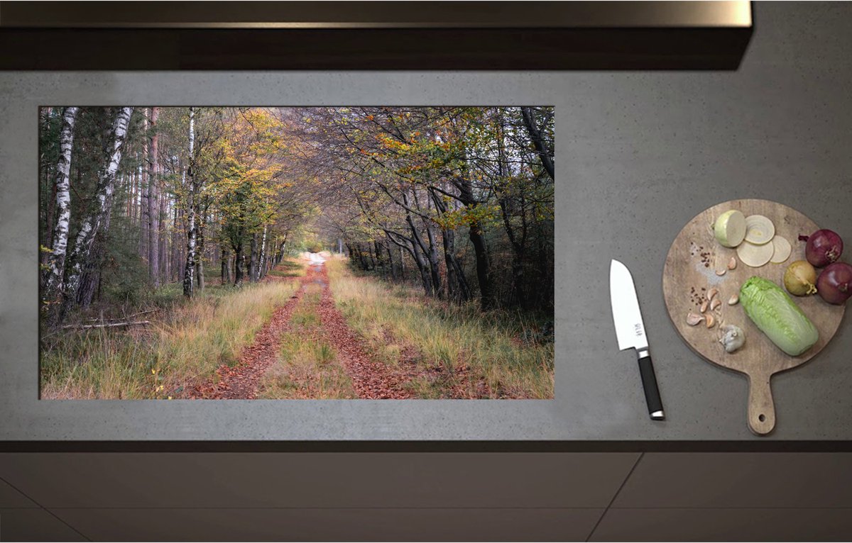Inductieplaat Beschermer - Bospad in een Bos in Nederland - 90x52 cm - 2 mm Dik - Inductie Beschermer - Bescherming Inductiekookplaat - Kookplaat Beschermer van Zwart Vinyl
