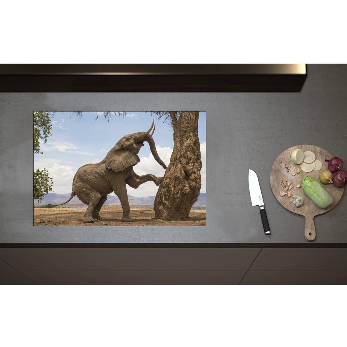 Inductieplaat Beschermer - Blije Afrikaanse Olifant - 75x50 cm - 2 mm Dik - Inductie Beschermer - Bescherming Inductiekookplaat - Kookplaat Beschermer van Zwart Vinyl