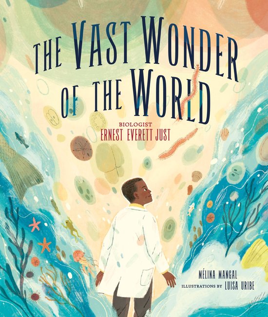 The Vast Wonder of the World - cover