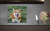 Inductieplaat Beschermer - Blije Corgi Hond met Uitstekende Tong in het Grasveld - 57x52 cm - 2 mm Dik - Inductie Beschermer - Bescherming Inductiekookplaat - Kookplaat Beschermer van Zwart Vinyl