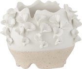 J-Line Cache-Pot Anemone Ceramique Blanc/Beige