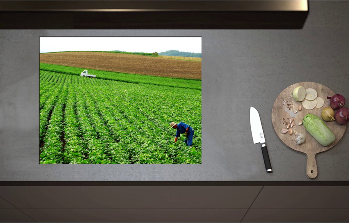 Inductieplaat Beschermer - Boer werkend op het Land vol Gewassen - 70x55 cm - 2 mm Dik - Inductie Beschermer - Bescherming Inductiekookplaat - Kookplaat Beschermer van Zwart Vinyl