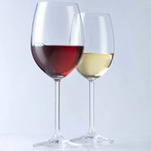 Leonardo wijnglazenset Daily (Rode wijnglazen & Witte Wijnglazen & Champagneglazen) - 18 delige set