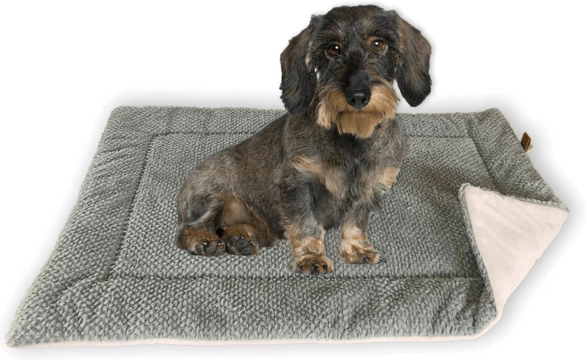 FLUFFINO® hondendeken maat S, 73 x 45 cm | pluizig, zacht & wasbaar | hondenmat met imitatiesuède voor verhoogde slipweerstand | hondenkussen voor grote & kleine honden of katten [grijs]