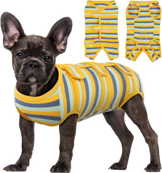 Corps de chien selon OP, corps de chien respirant selon chirurgie pour  bol