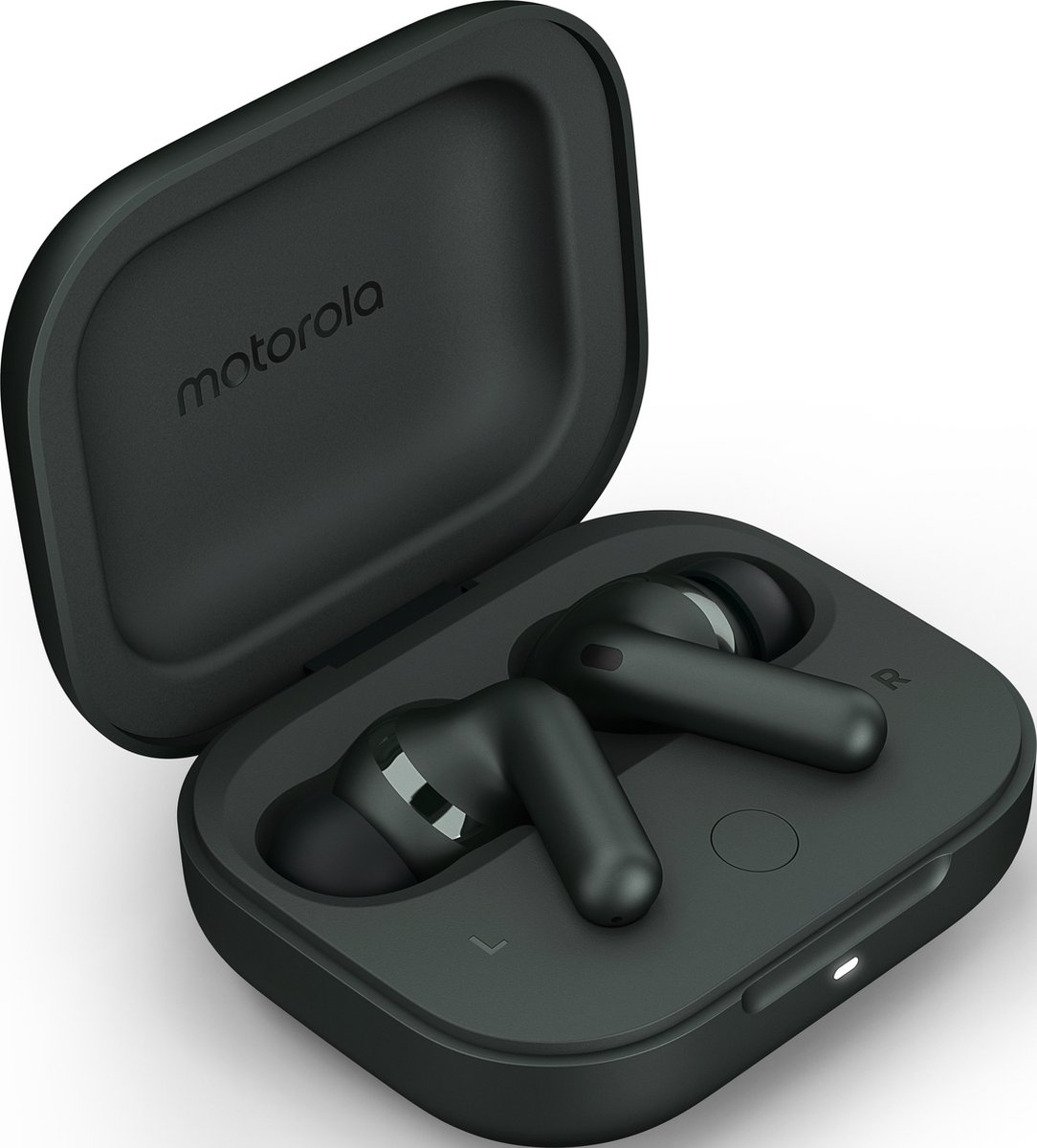 motorola moto buds+ Forest Grey