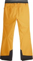 Picture Mens Picture Object Pant