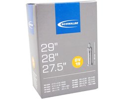 Schwalbe DV19 - Binnenband Fiets - Hollands Ventiel - 40 mm - 28 x 1 1/2 - 150 - 235