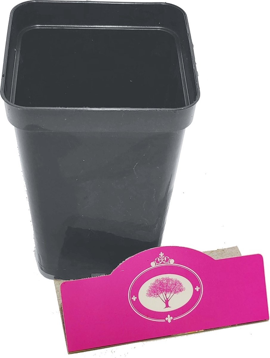 Kweekpot Hoog P9 - 9x9x14cm, 0.8 Liter - 25 stuks