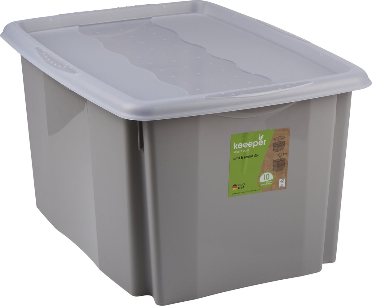 Opbergbox met Deksel 45L - Opbergdoos 55 x 40 x 30 cm - Geschikt voor Kleding, Kerstdecoratie en Documenten - Grijs