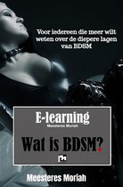 E-Learning Wat is BDSM