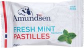 Amundsen Fresh Mint Pastilles - 24 x 25 gram