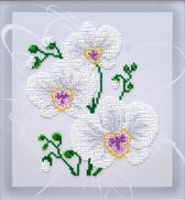 BORDUURPAKKET met parels - Orchid - Witte Orchidee - 0995 - VDV - borduren met kralen