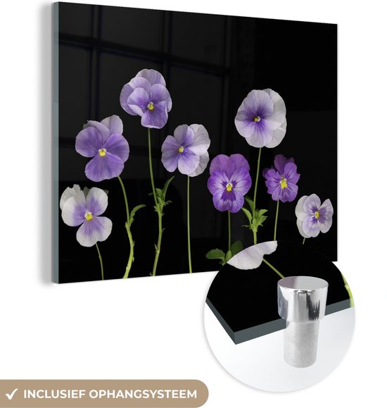 MuchoWow® Peinture sur Verre - Violettes en rang - 80x60 cm - Peintures sur Verre Peintures - Photo sur Glas