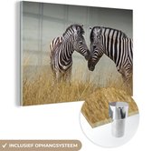 MuchoWow® Glasschilderij 180x120 cm - Schilderij acrylglas - Moeder zebra en haar jong - Foto op glas - Schilderijen