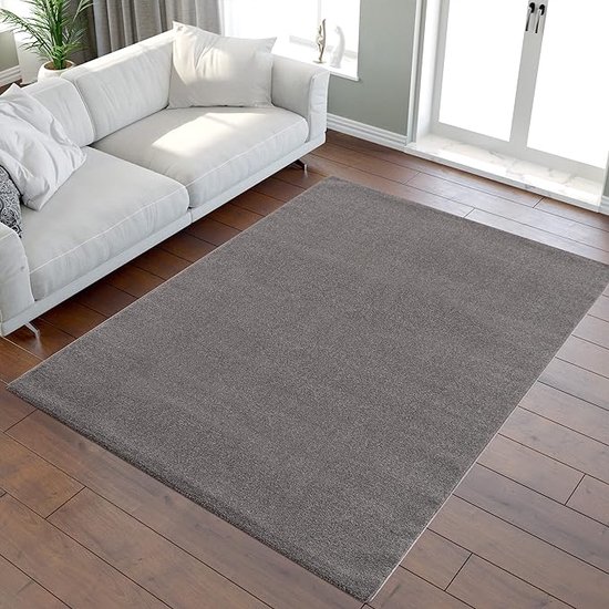 tapijt super zacht pluizig antislip\Tapijt voor woonkamer - Comfortabel ontwerp 60*110cm