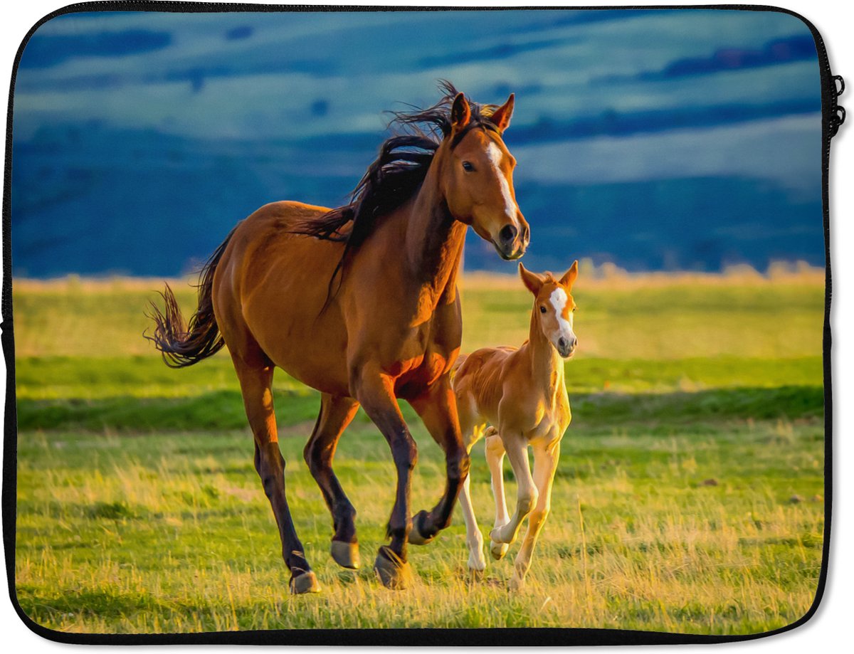 Laptophoes 17 inch - Paarden - Gras - Dieren - Landschap - Natuur - Laptop sleeve - Binnenmaat 41x28 cm - Zwarte achterkant