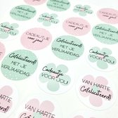 Stickers - Cadeautje voor jou - Van harte gefeliciteerd - Groen - Roze - Stickervel 20 stuks