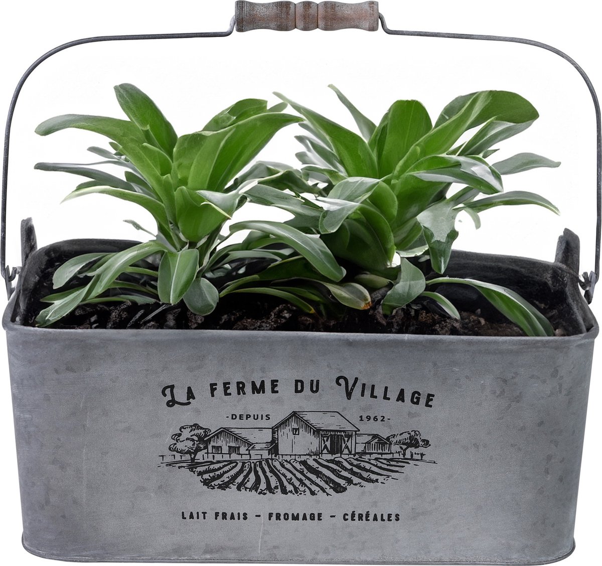 Goedkoopste Sunnydays Teil/plantenpot/bloempot - zink - zilver - L37 x D24 x H14 cm