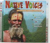 NATIVE VOICES vol. 3 AMBIENT DANCE HITS