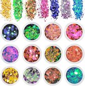 Chunky Glitter, 12 Kleuren Lichtgevende Festival Glitter, Nail Glitter Poeder, Holografische Cosmetische Glitter voor Gezicht Body Eye Hair Nail.