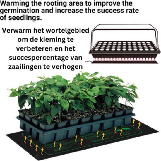 Verwarmingsmat voor terrarium en vivarium Reptil'us