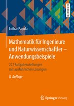 Mathematik fuer Ingenieure und Naturwissenschaftler Anwendungsbeispiele