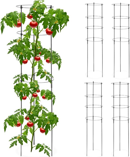 Tomatensteun set van 5 - met 4 ringen - 120 cm - metaal - kunststof