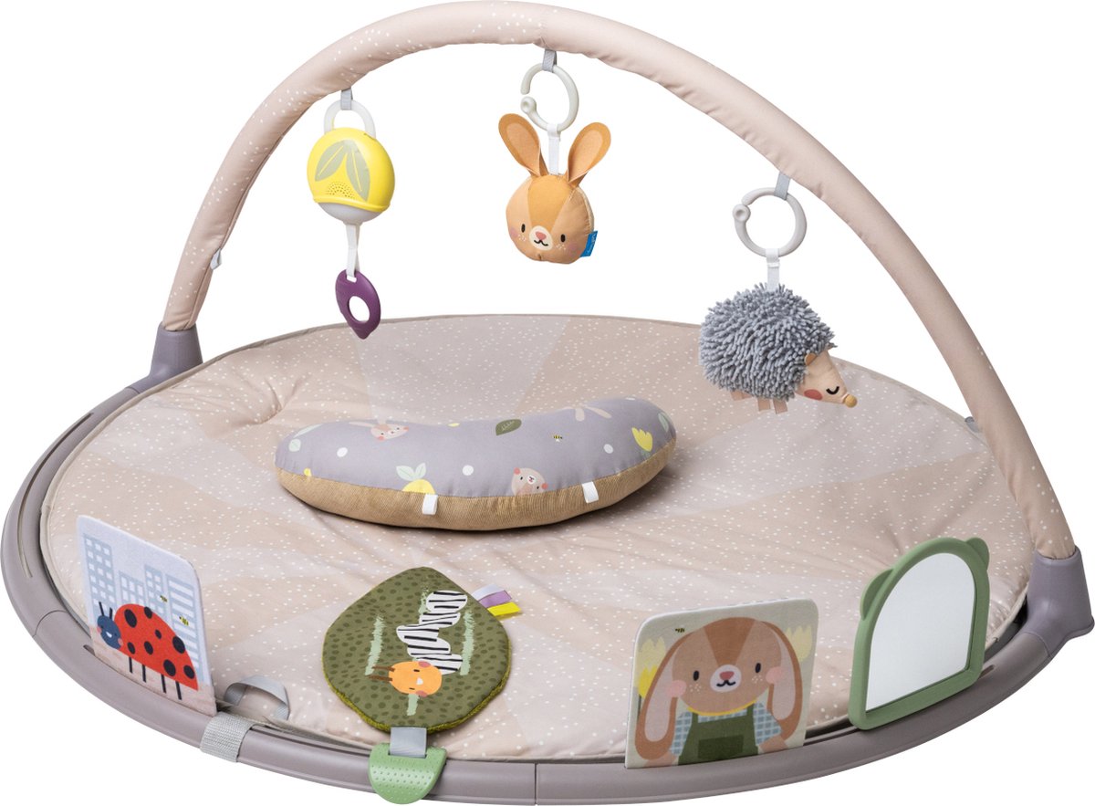 Taf Toys Activity Gym Tummy Time
