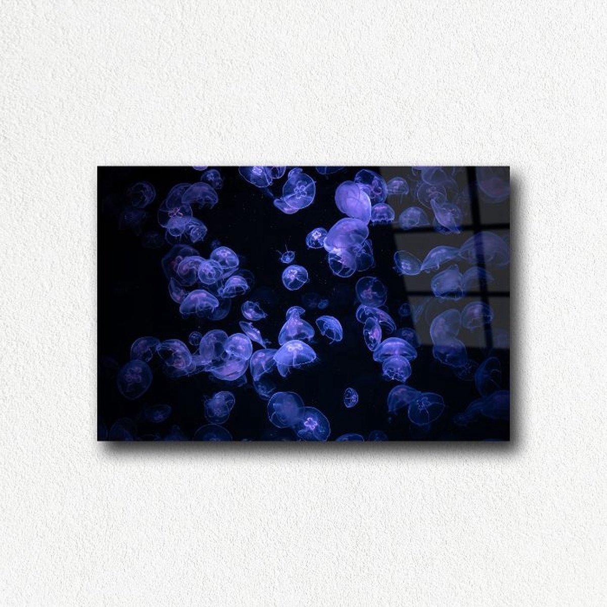 Indoorart - Glasschilderij kwallen 90x60 CM - Afbeelding op plexiglas - Inclusief montagemateriaal