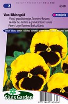 Sluis Garden - Viool Zwitserse Reuzen Rhinegold