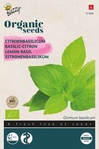 Buzzy Organic Basilicum Citroensmaak BIO Zaden - Frisse en Aromatische Citroenbasilicum voor Biologische Kweek