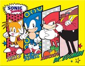 Sonic Panels Metalen wandbord 31,5 x 40,5 cm.