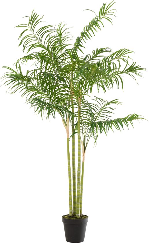 J-Line plante Palmier - bambou en pot - plastique - vert/noir - large