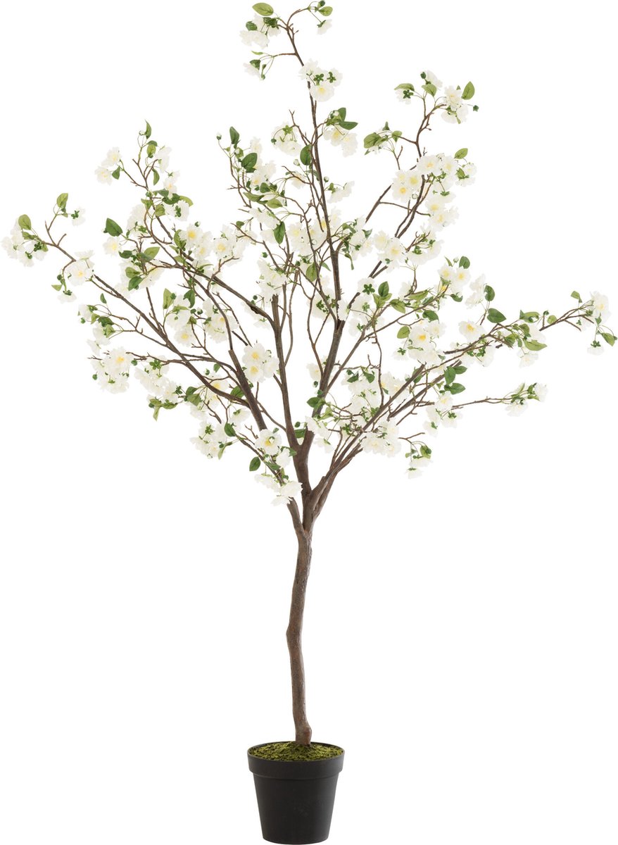 J-Line bloesemboom - kunststof - wit/bruin - large