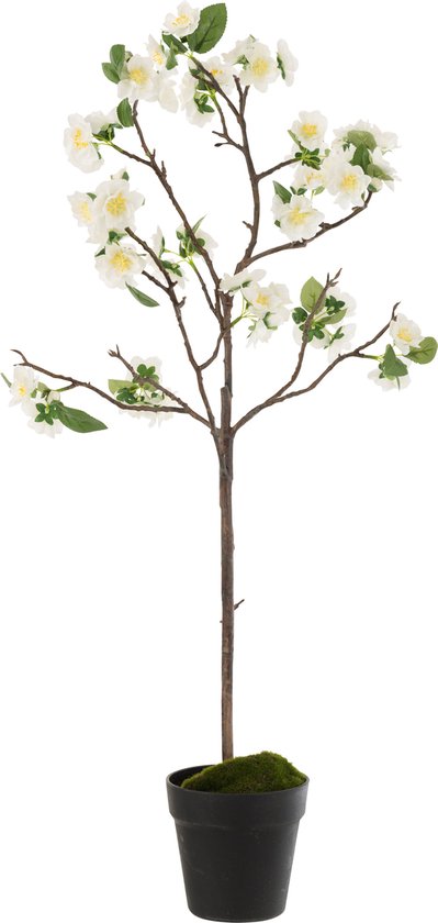 Arbre en fleurs J-Line - plastique - blanc/marron - moyen