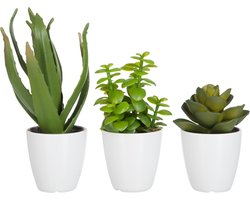 J-Line vetplant/Aloe Vera/Lotus + Pot - kunststof - groen/melamine - small - 3 stuks