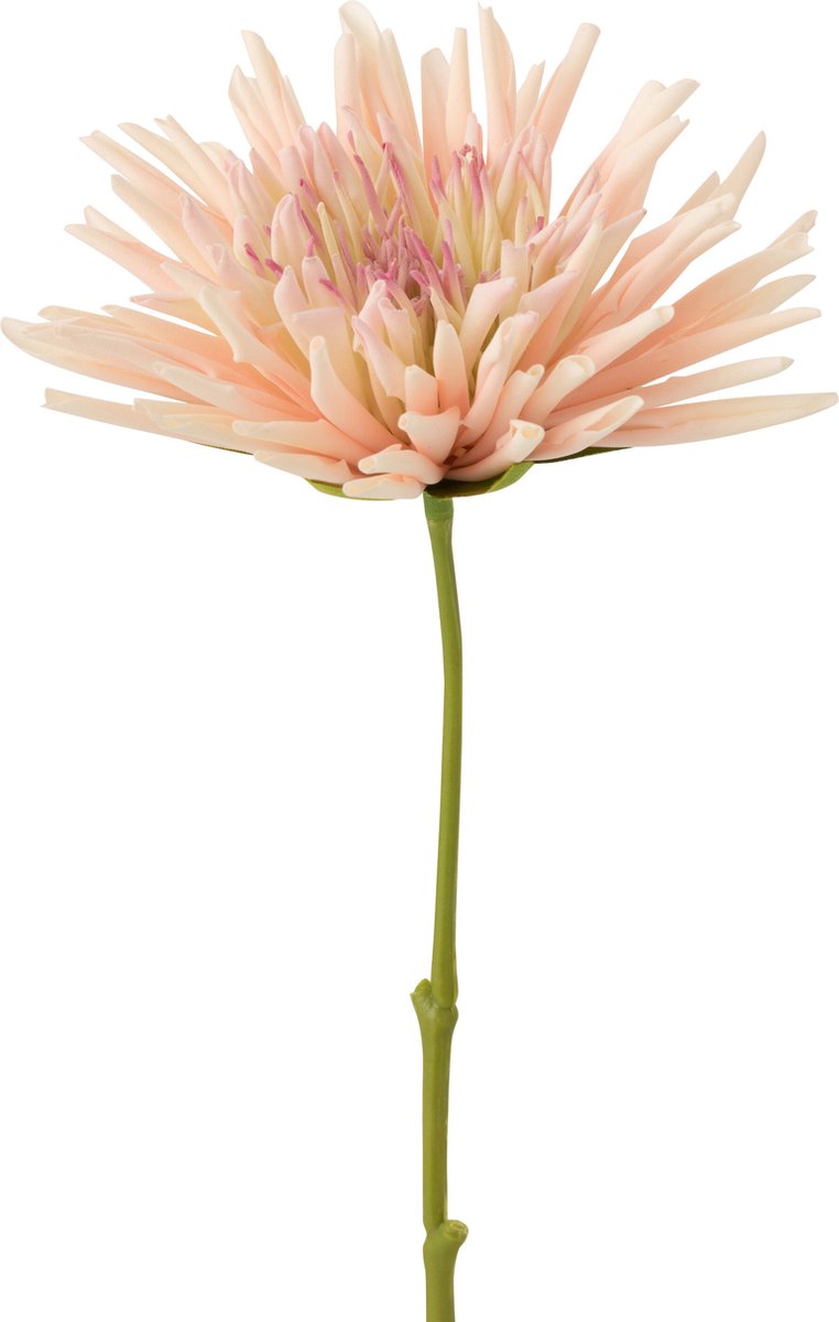J-Line bloem Chrysant Mini - kunststof - wit/lichtroze - 24 stuks