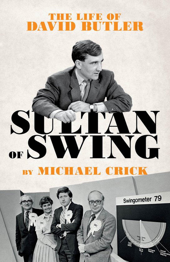Sultan of Swing - cover