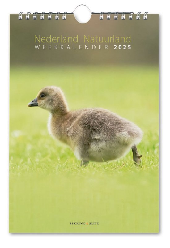 Foto: Castelli omleg weekkalender op schild 2025