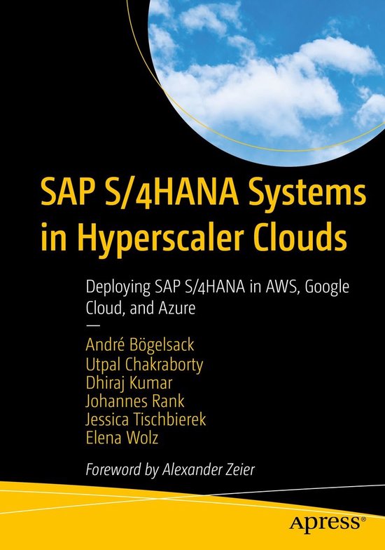 Professional and Applied Computing (R0) - SAP S/4HANA System ... - cover
