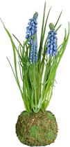 Blauwe druifjes mosbal - muscari blauw - 25 cm hoog - kunstplant - kunstbloemen - voorjaar - planten - mosbol - mosbal