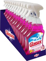 Glassex met azijn spray 12x500ml