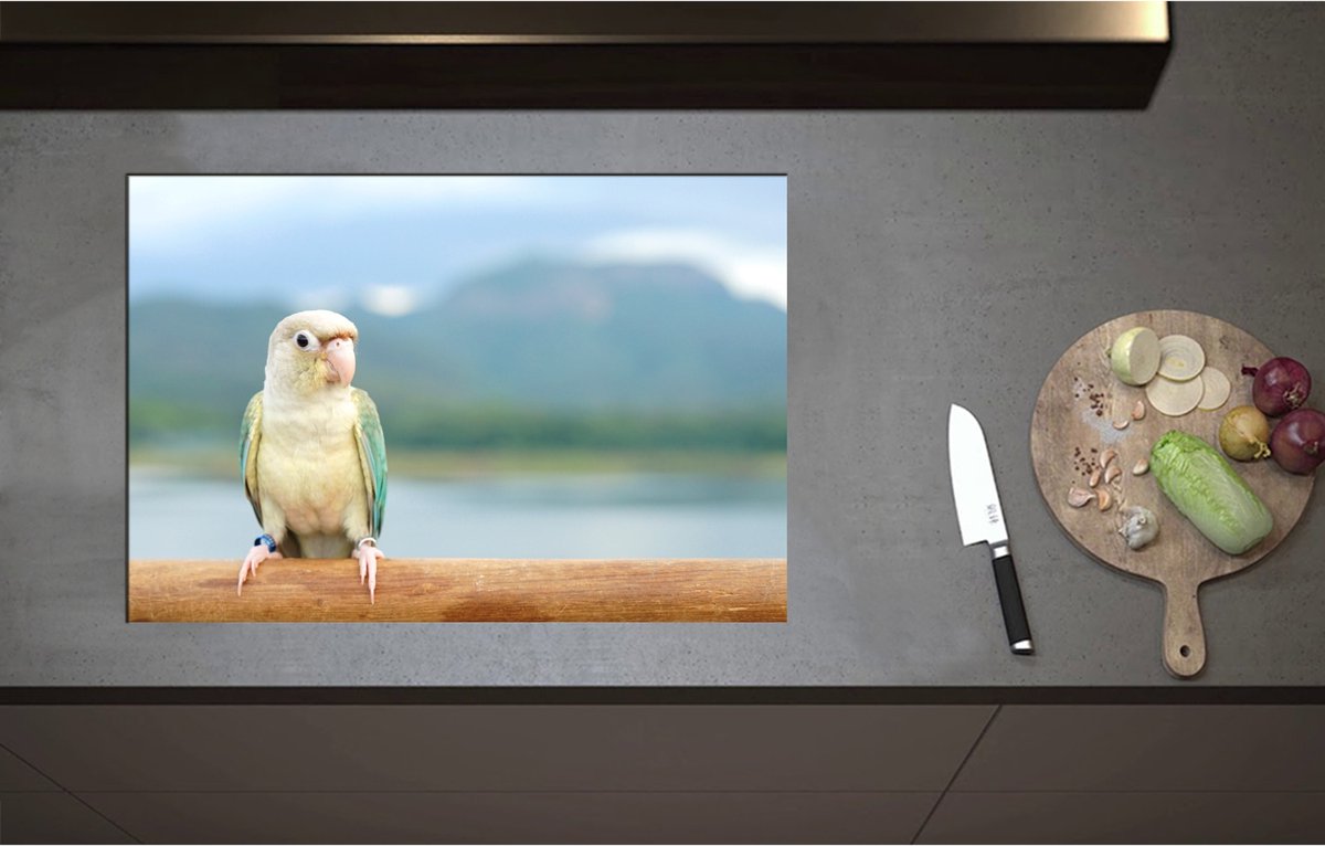 Inductieplaat Beschermer - Beige met Turqoise Mini Papegaai op Tak voor Gebergte - 75x51 cm - 2 mm Dik - Inductie Beschermer - Bescherming Inductiekookplaat - Kookplaat Beschermer van Wit Vinyl