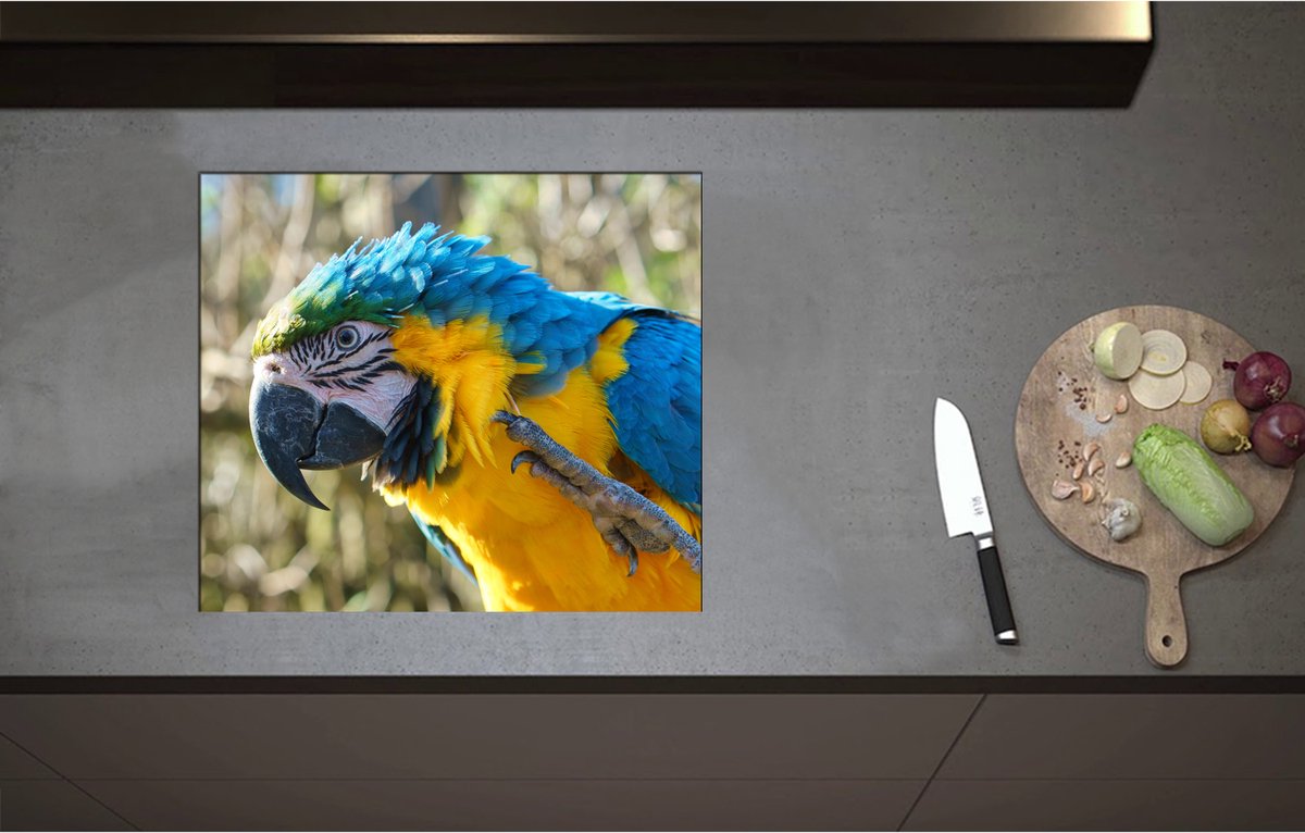Inductieplaat Beschermer - Blauw met Gele Ara Papegaai Opzijkijkend - 58x51 cm - 2 mm Dik - Inductie Beschermer - Bescherming Inductiekookplaat - Kookplaat Beschermer van Wit Vinyl