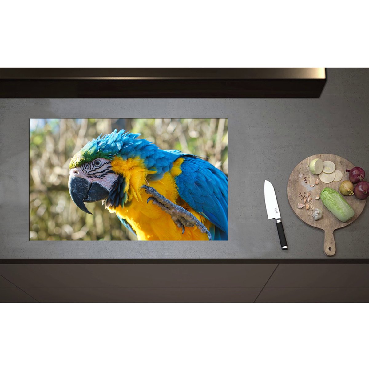 Inductieplaat Beschermer - Blauw met Gele Ara Papegaai Opzijkijkend - 80x50 cm - 2 mm Dik - Inductie Beschermer - Bescherming Inductiekookplaat - Kookplaat Beschermer van Zwart Vinyl